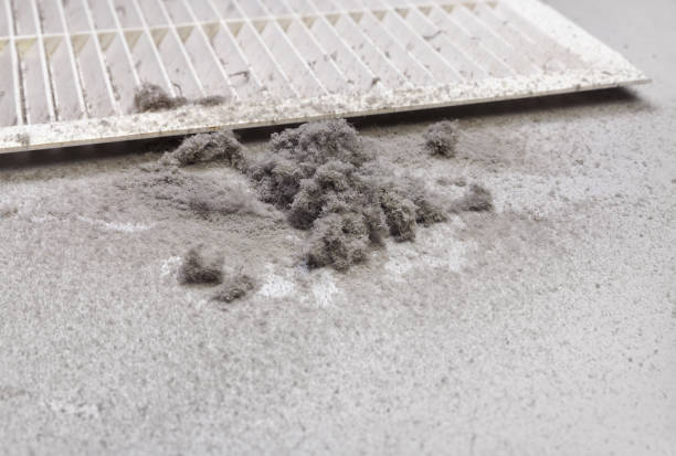 Best Ductwork Cleaning Services  in Sandusky, MI