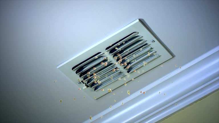  Sandusky, MI Airduct Cleaning Pros