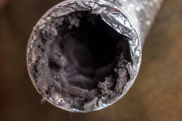 Best Residential Air Duct Cleaning  in Sandusky, MI